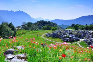 走 到药王谷赏花吸氧去